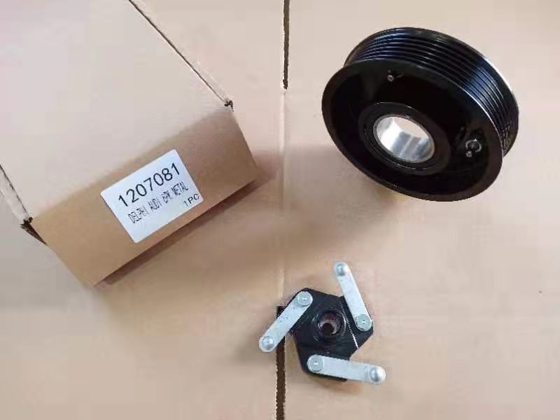 1207081 807043 AUDİ DELPHİ 6 PK KASNAK SETİ