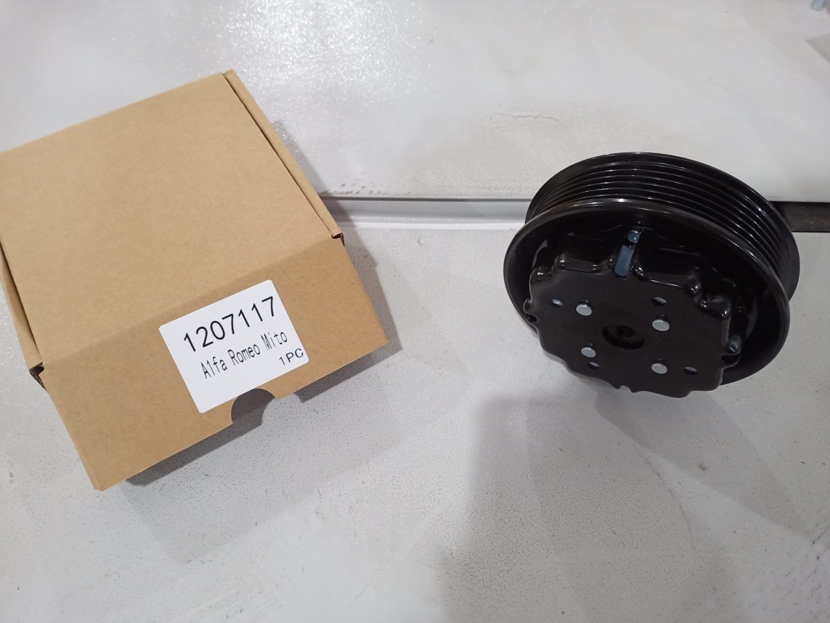 1207117 ALFA ROMEO MİTO 6 PK KASNAK SETİ