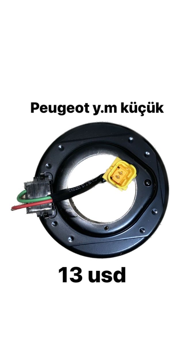 125010/C10627 PEUGEOT CITROEN YM KÜÇÜK BOBİN